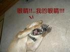 打打.jpg