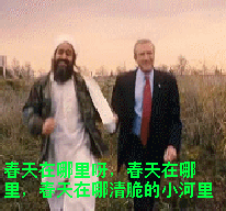 未命名5.gif