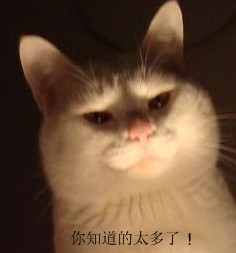 你知道的太多了（猫）.jpg