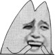 1111.jpg