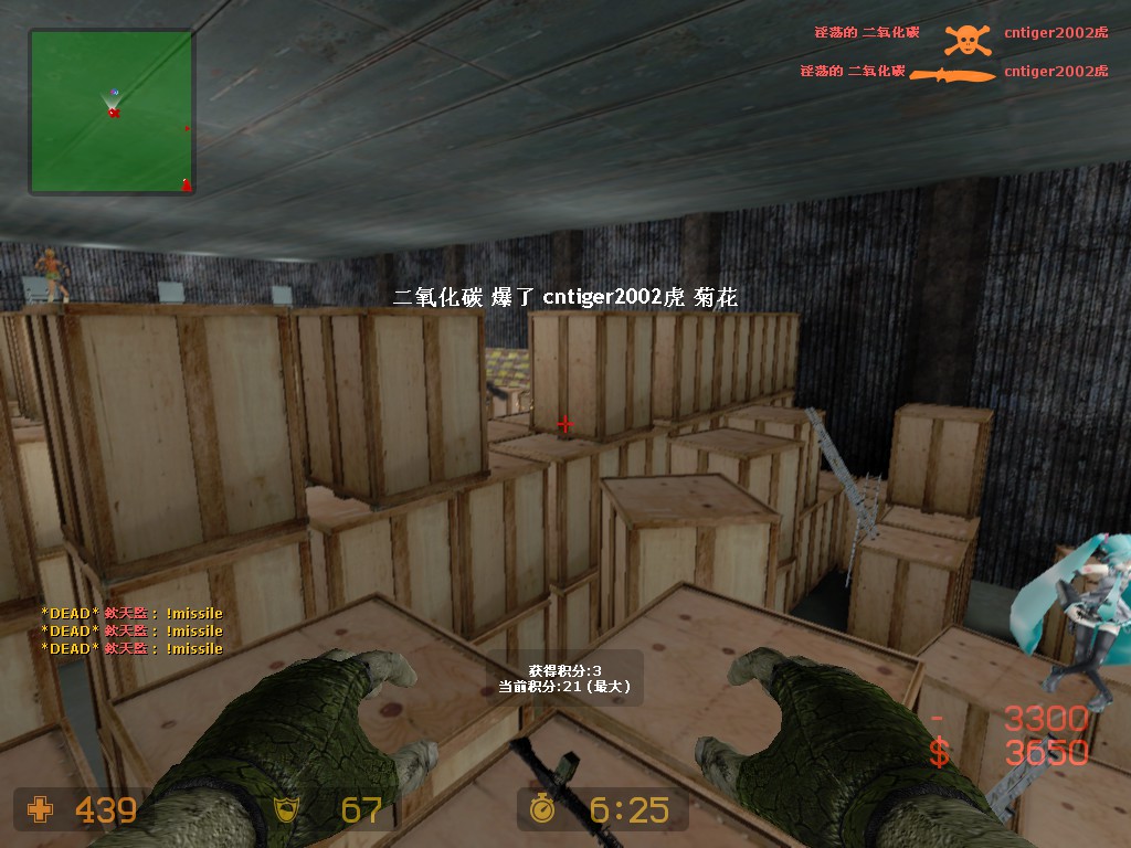 contiger2002虎.jpg