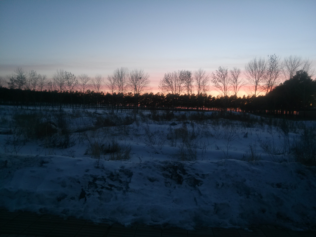 IMG20140309174006.jpg