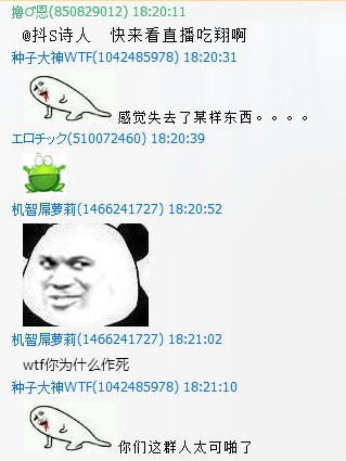 12.jpg