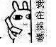 QQ图片20141222210016.jpg
