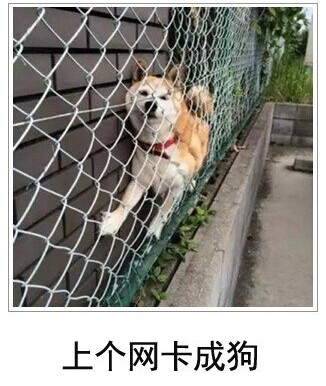 $Z9R1H]WKNCQSFHYNQRXJBE.jpg