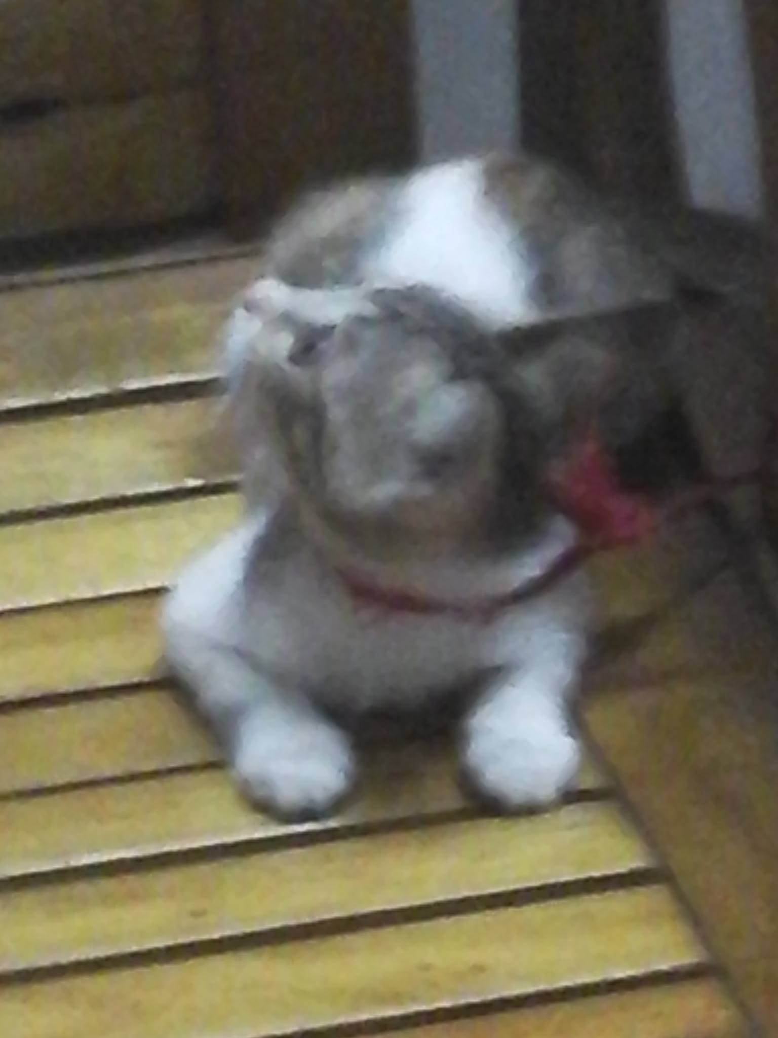 20150930_231520.jpg