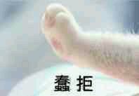 QQ图片20160527024945.jpg