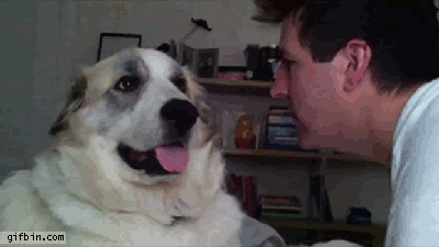 54083f8dd05175bea33aa9c723dc67be.gif