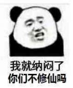 1-1F21F93013-lp.jpg