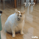 7e850205e555e58f.gif