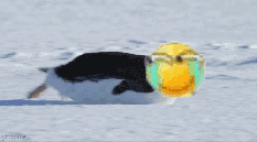 20160823224939.gif