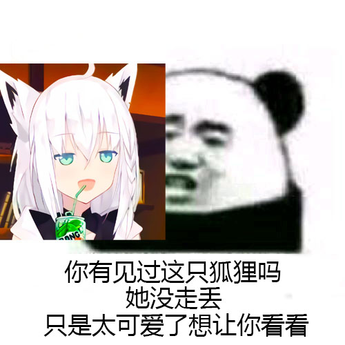 1557326207_小狐狸 让你看看.jpg
