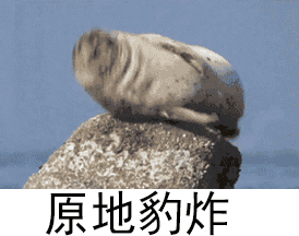 110847ellopxwl4lcoo412.gif