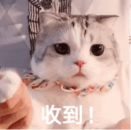 QQ图片20200909205911.gif
