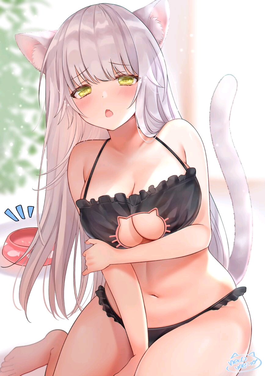 我想当鸽子 (5).jpg