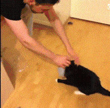 4FKBPA}N1GR)CYA~L_99VVF.gif