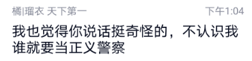 说我是正义警察.png
