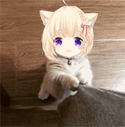 E@1128LWTWNN}%LLJ[GQ4WU.gif