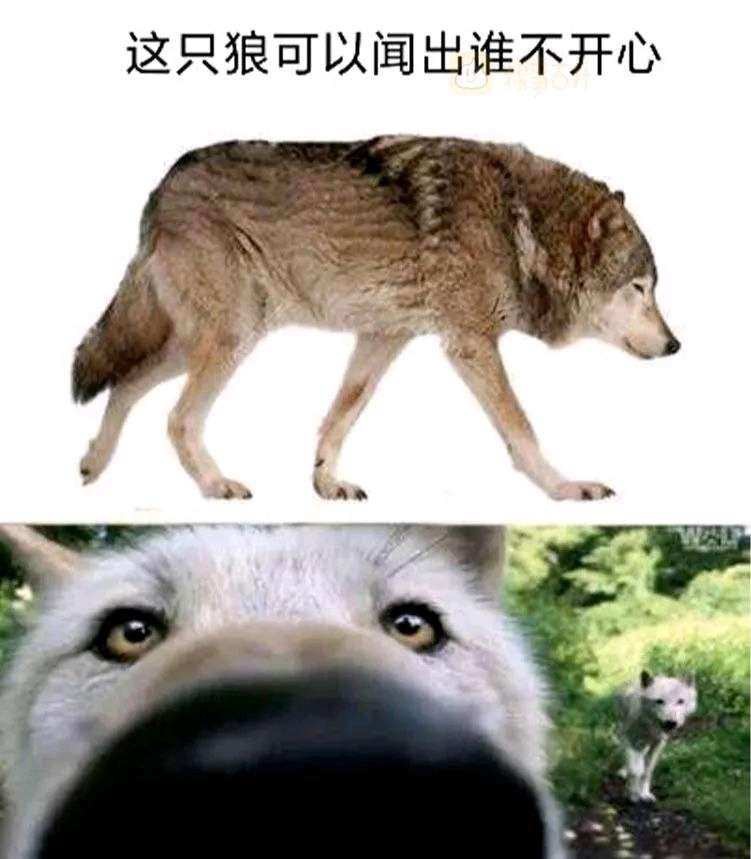 1631532544314.jpg