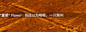 5d7fc247f08d8496.png