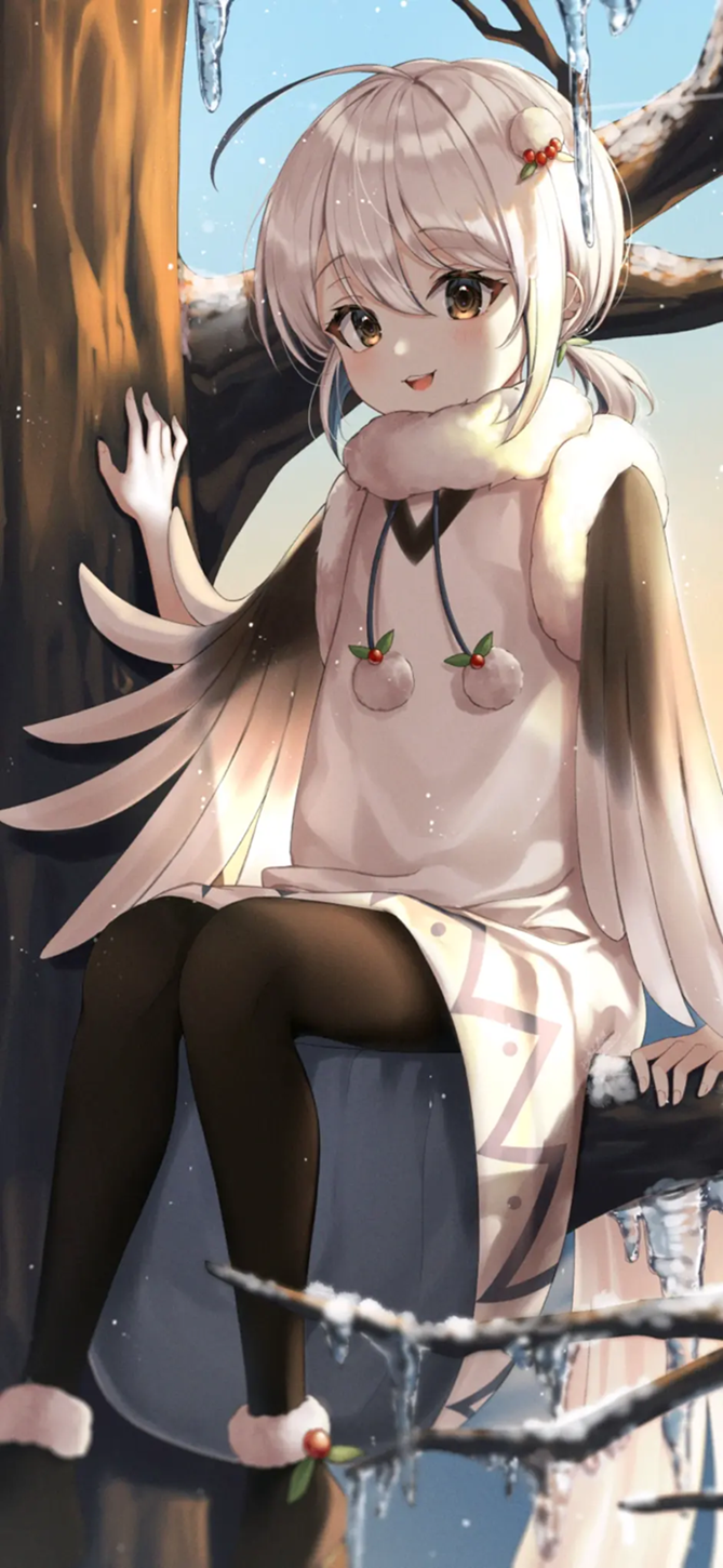 不错1.png