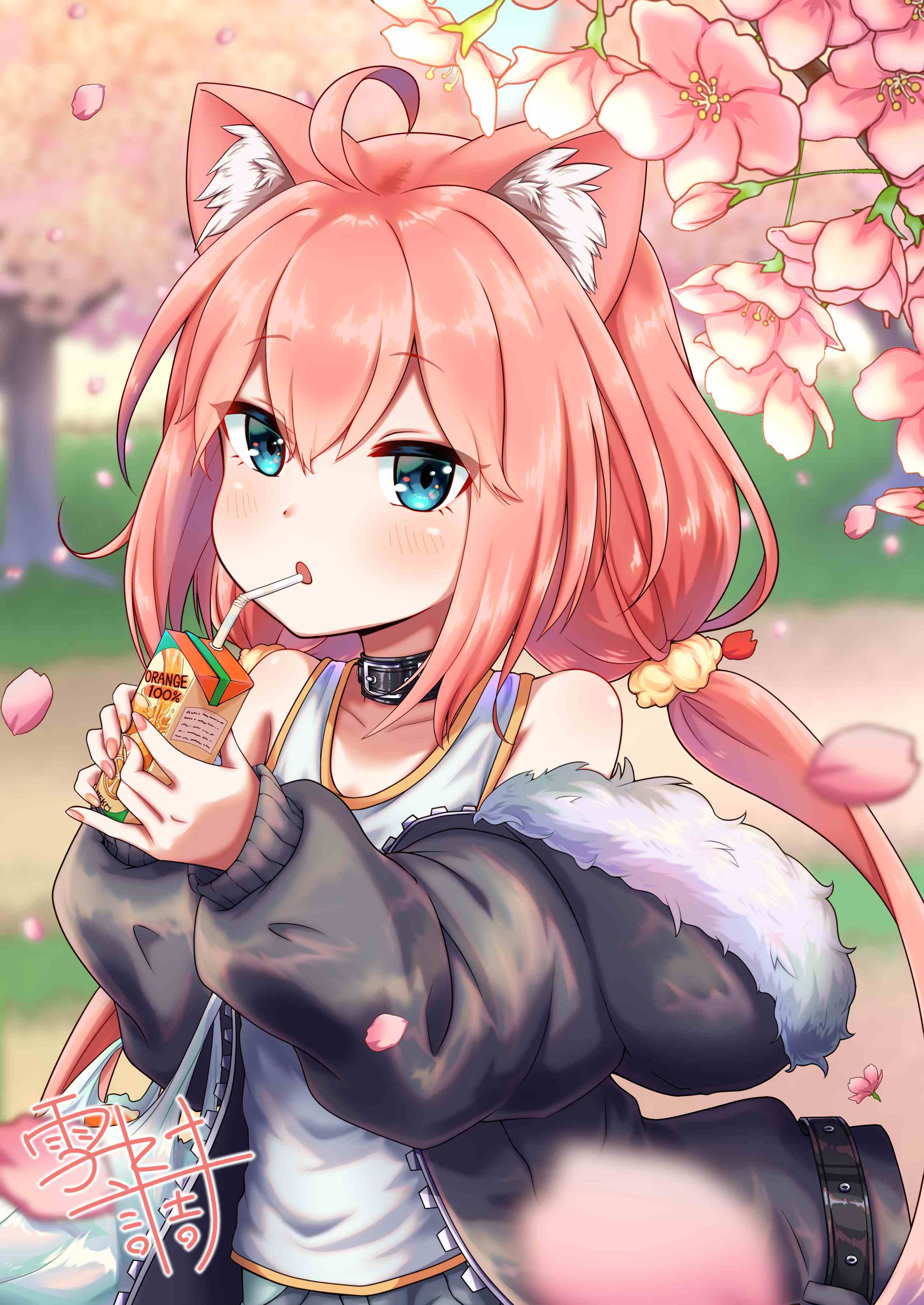 猫宫.jpg