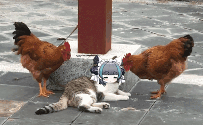 4DBB771F6317515F58F5EAB673E96E89.gif