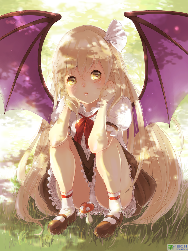 800px-37502849_1.png