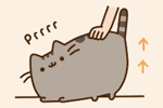 20104e4beedb4fa9.gif