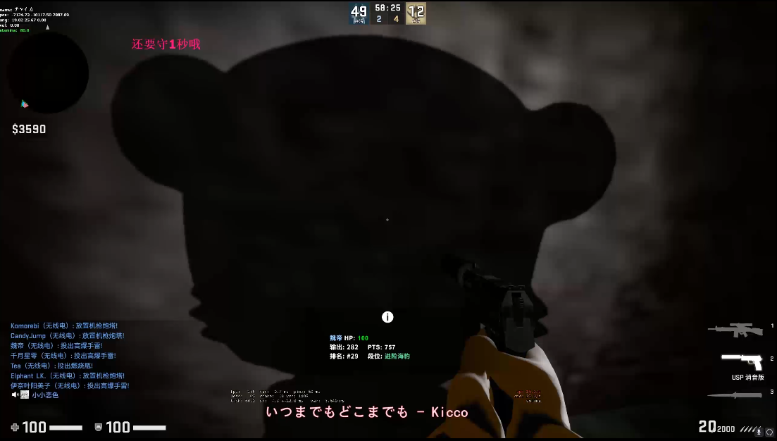 预览