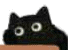 1644294784035.gif