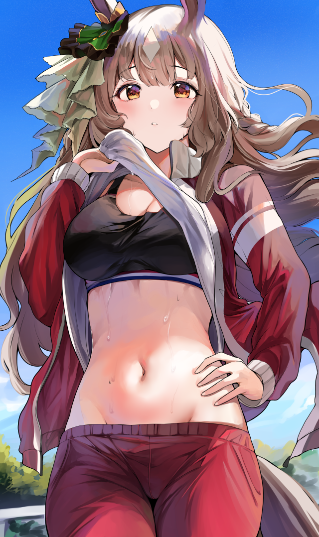 66F85E4E5C106637B675B7BF0F42ADDB_640.png