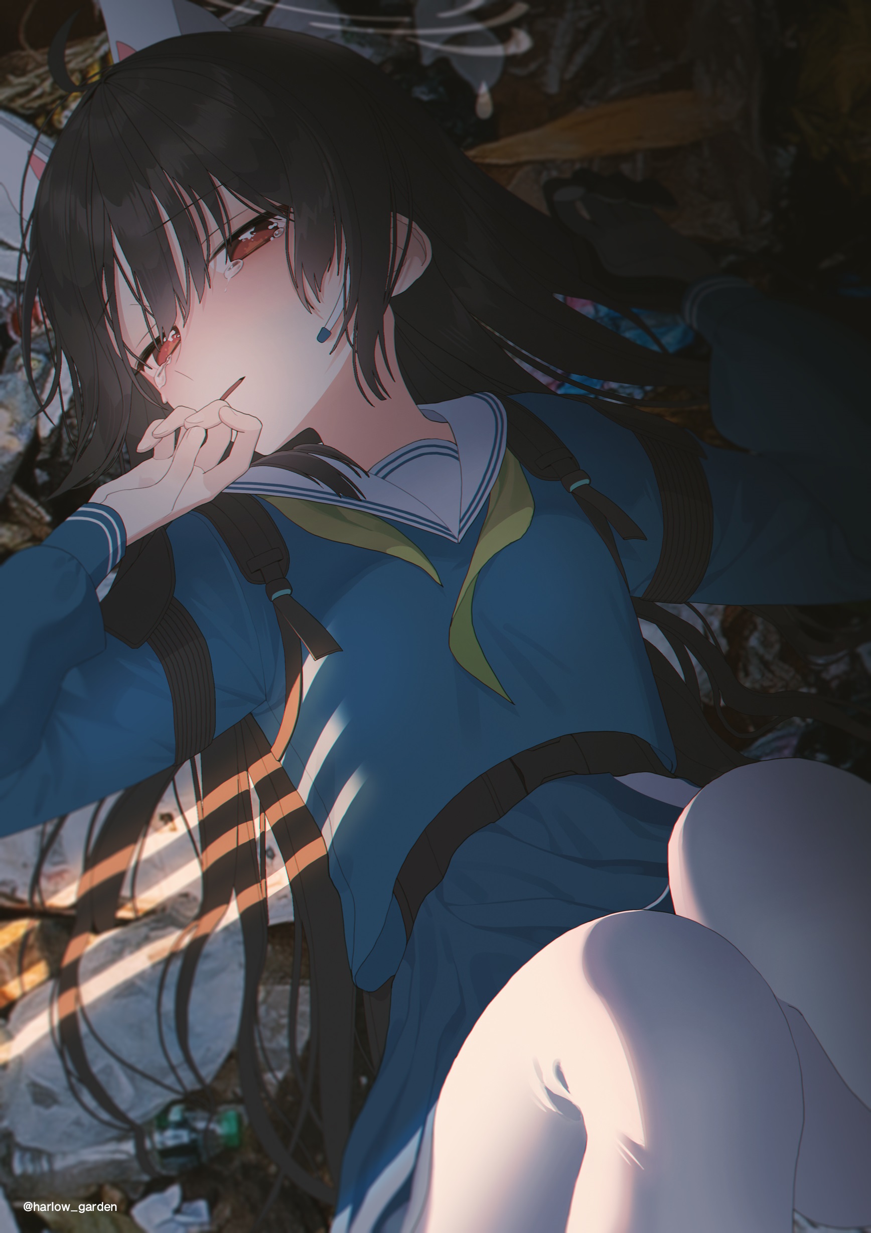 97374519.jpg
