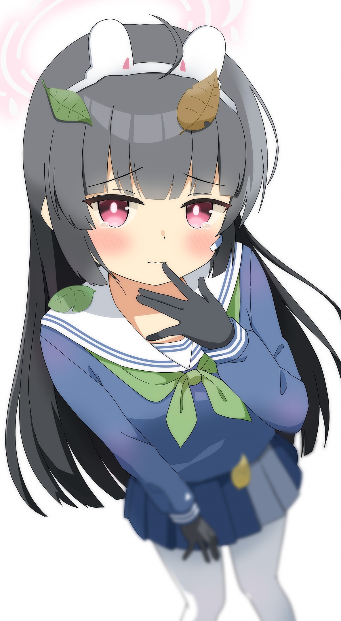 97468833.jpg