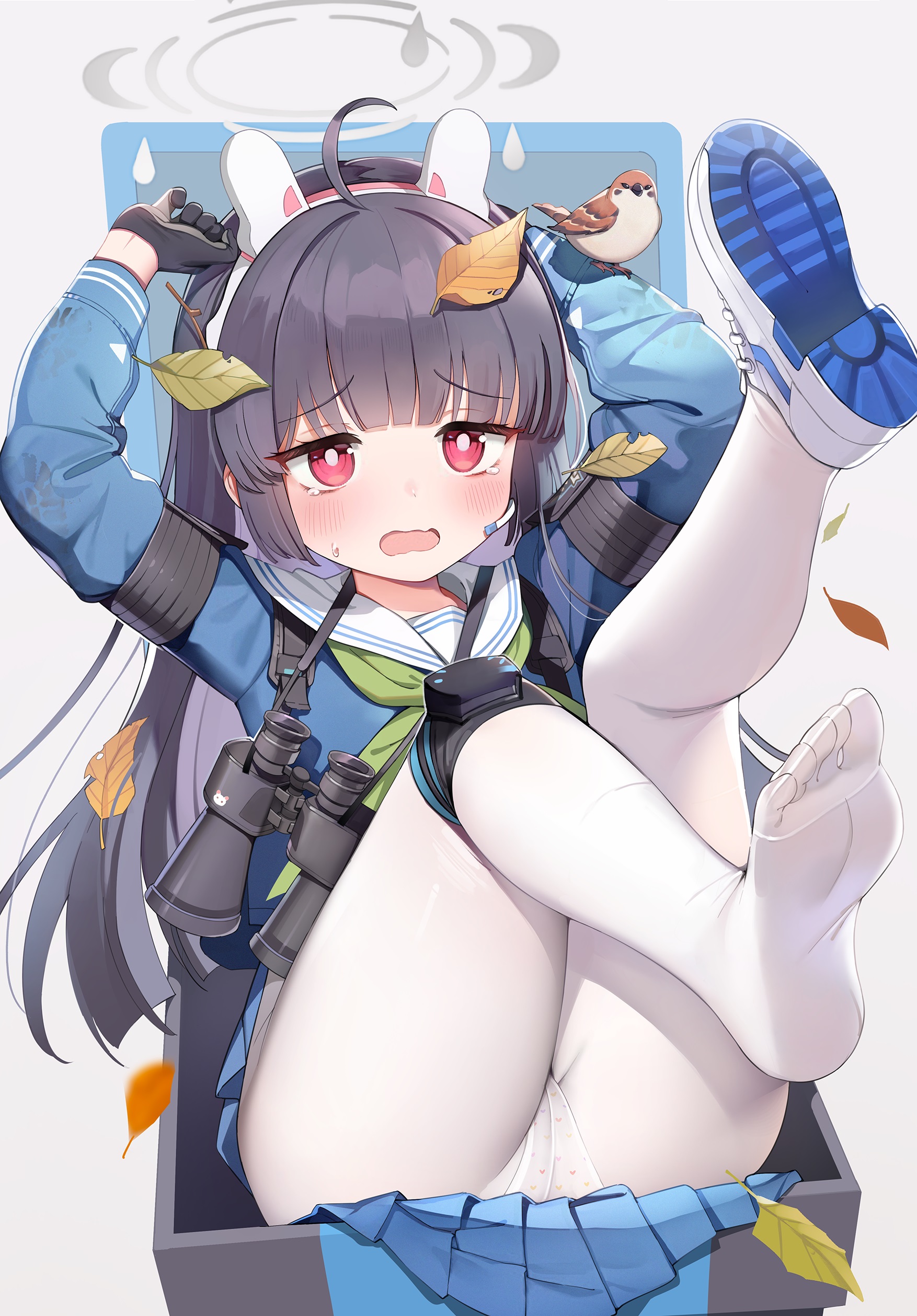 97611137.jpg