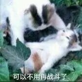 20200806165049170.jpg