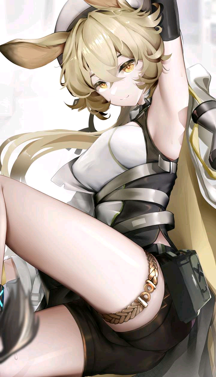 7e547f665b65ac7a.png