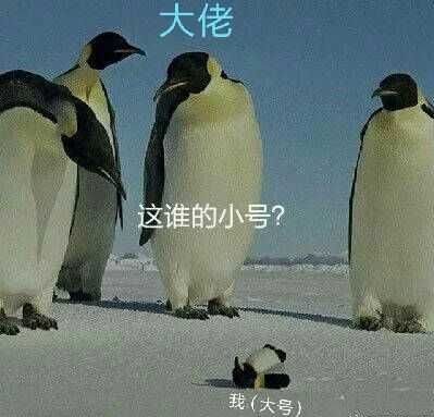 -de5c33eb797d59.jpg