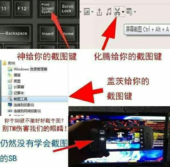 2c94b173e55d2f46.jpg