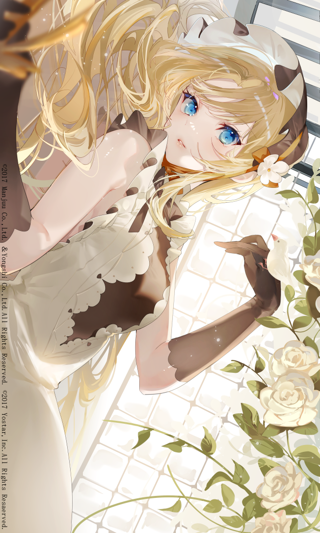 -73a22e16366df2c9.png