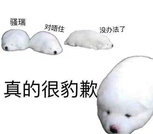 QQ图片20221014232122.jpg