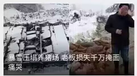 QQ图片20221117203804.jpg