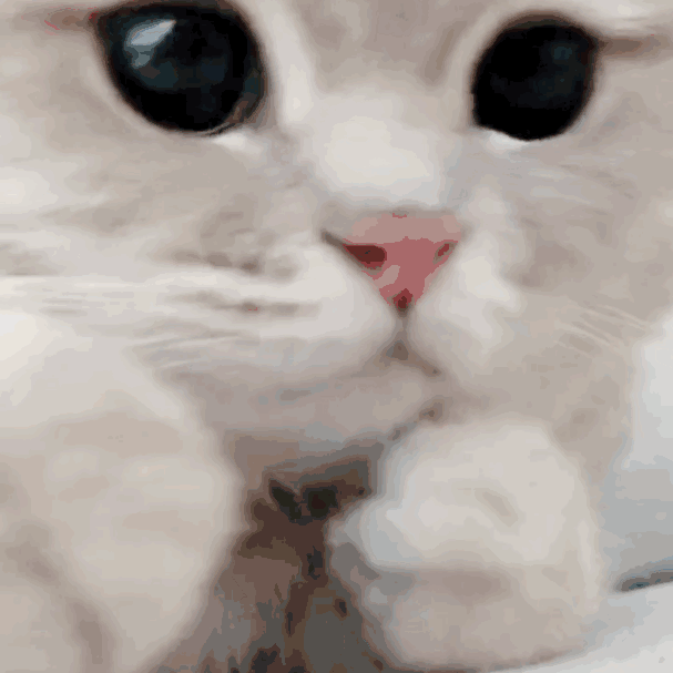 QQ图片20210426142521.gif