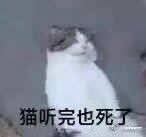OQHDGPD3UDS9@}7%RK8JD)J.jpg