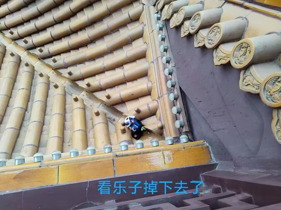 -3d5439d91c654519.jpg
