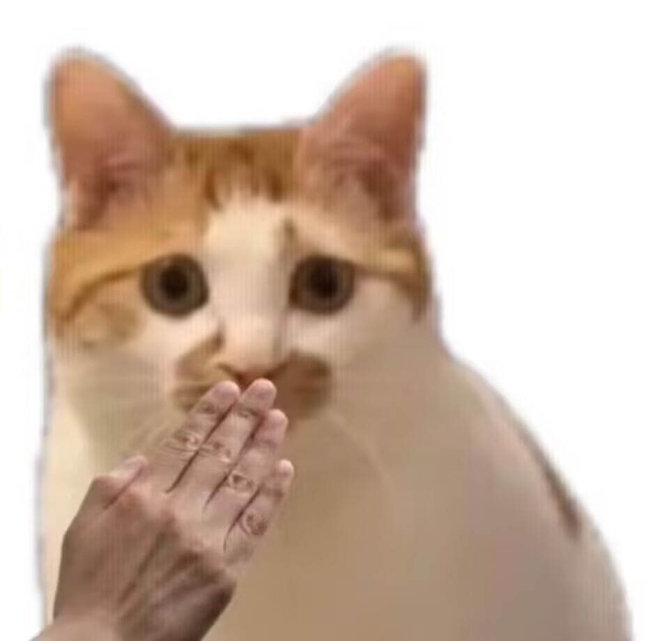 QKIXB5LX}2`RFTNCQNK@MEP.jpg
