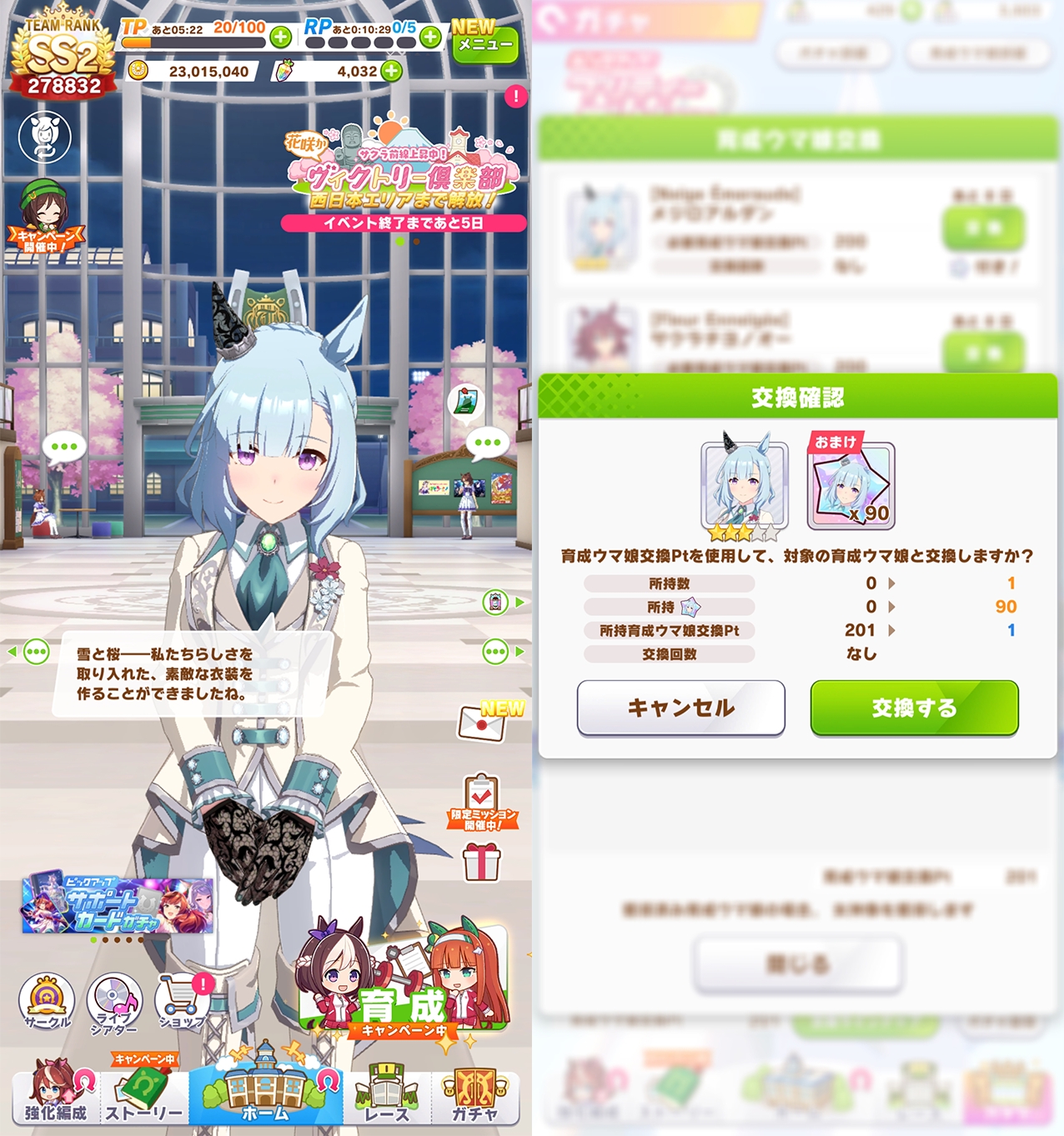 D.jpg