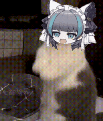 QQ图片20230530123734.gif