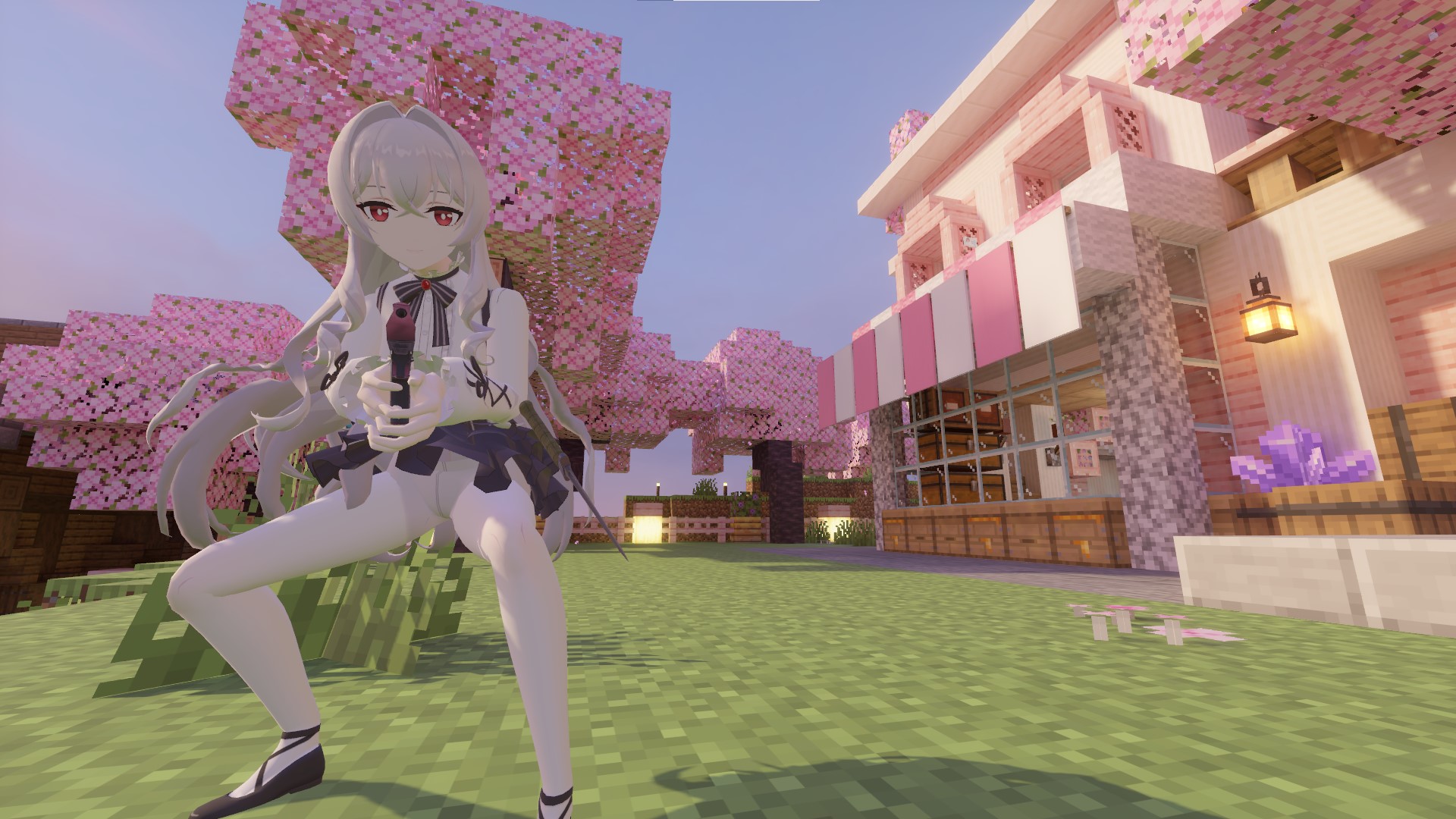 ailun 2.jpg