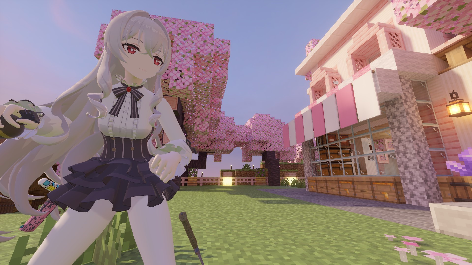 ailun 1.jpg